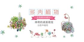 多肉植物