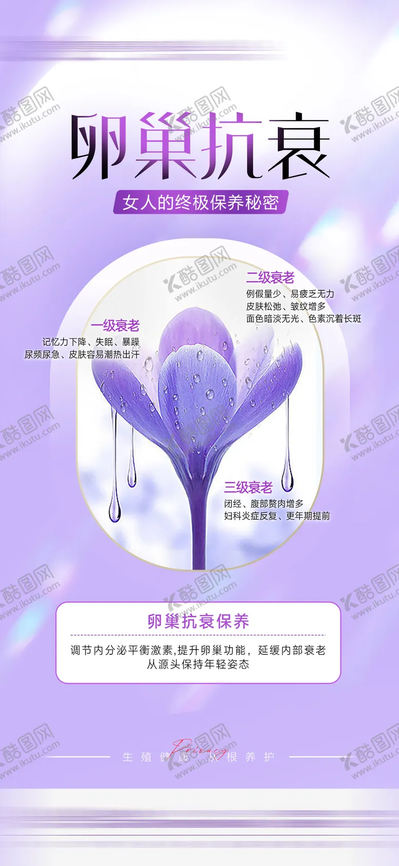 编号：20956101131531278793【酷图网】源文件下载-卵巢抗衰海报