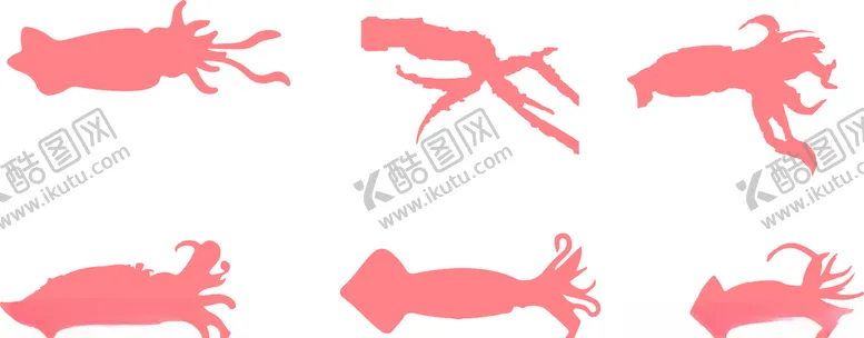 编号：31196906302259152896【酷图网】源文件下载-鱿鱼素材
