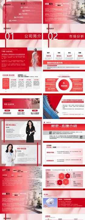 企业品牌商业计划书PPT