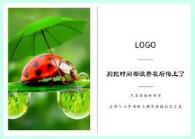 文雅