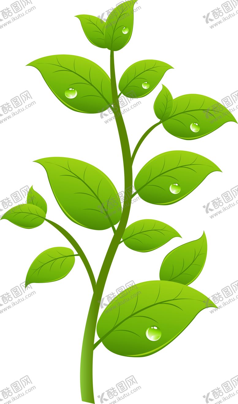 编号：65305409242351549997【酷图网】源文件下载-植物