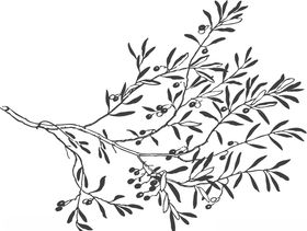 矢量树枝