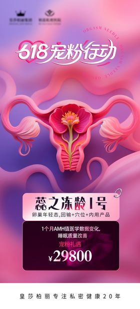 私密冻龄海报