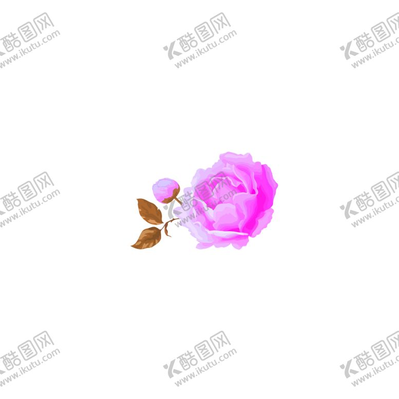 编号：22613005111949328791【酷图网】源文件下载-鲜花素材