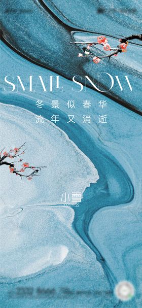 医美小雪大雪节气海报