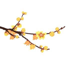 梅花树枝元素