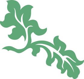 花纹图案