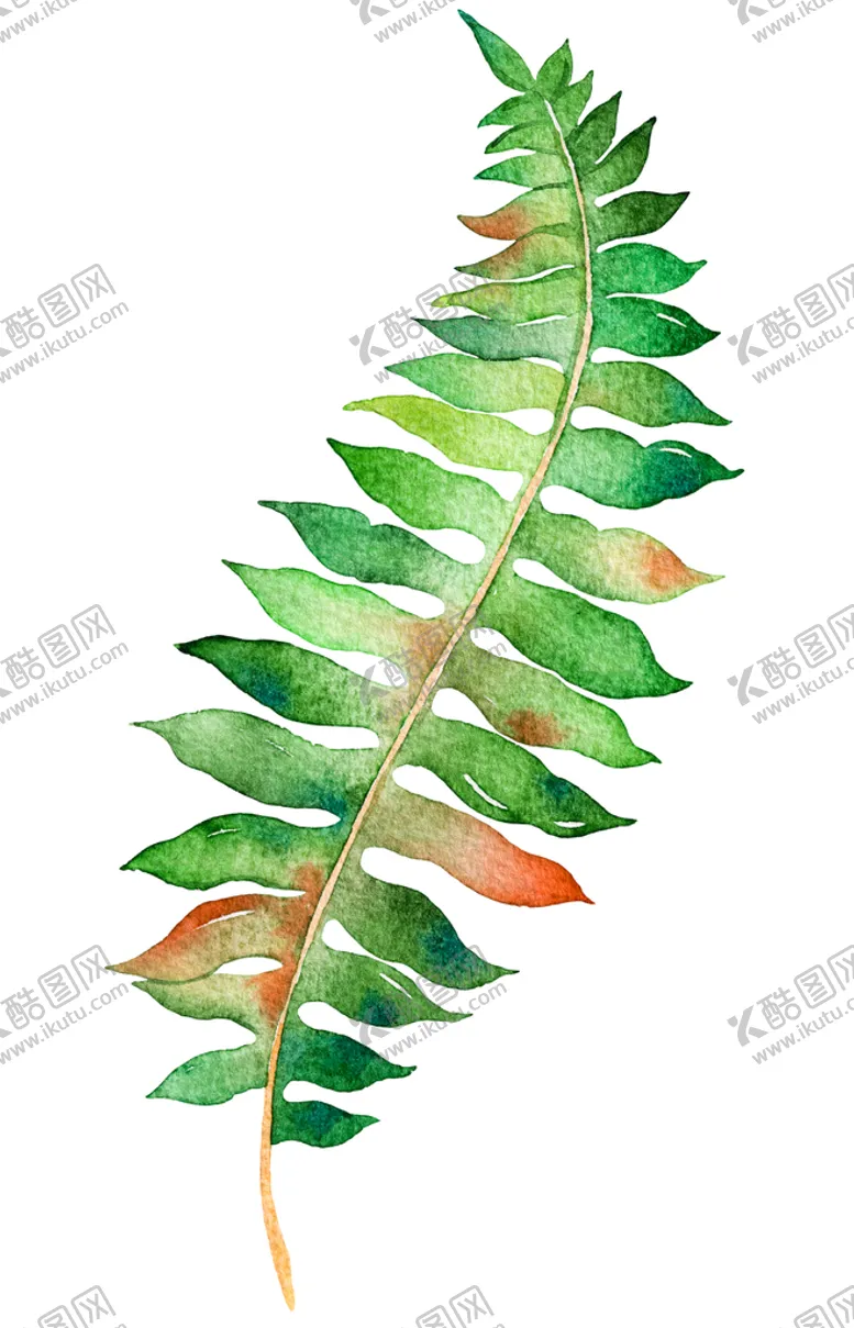 编号：12439709211238245930【酷图网】源文件下载-植物图片 