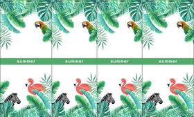 夏季热带植物素材