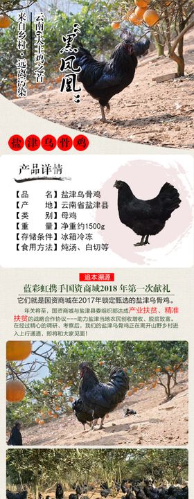 盐津乌鸡详情图