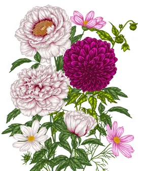 手绘花卉玫瑰植物朵插画
