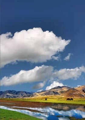 绿色草原风景