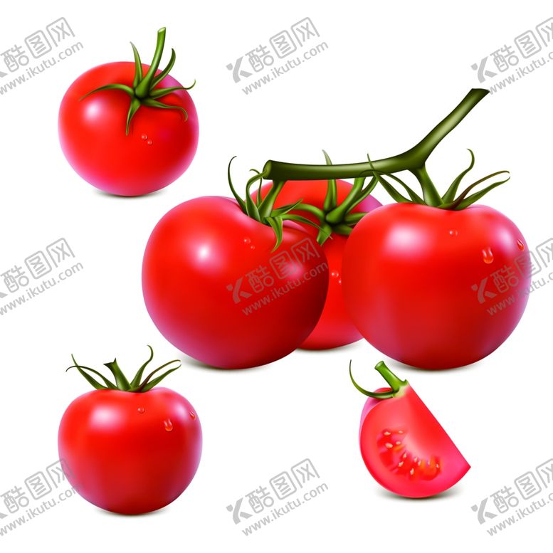 编号：87298307071154076352【酷图网】源文件下载-番茄