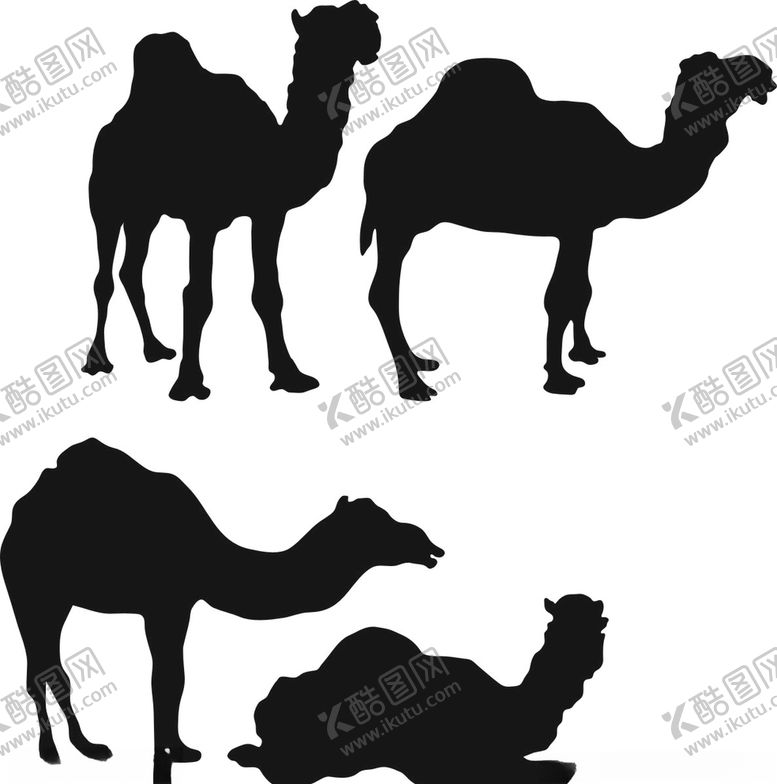 编号：78772609251049189161【酷图网】源文件下载-骆驼