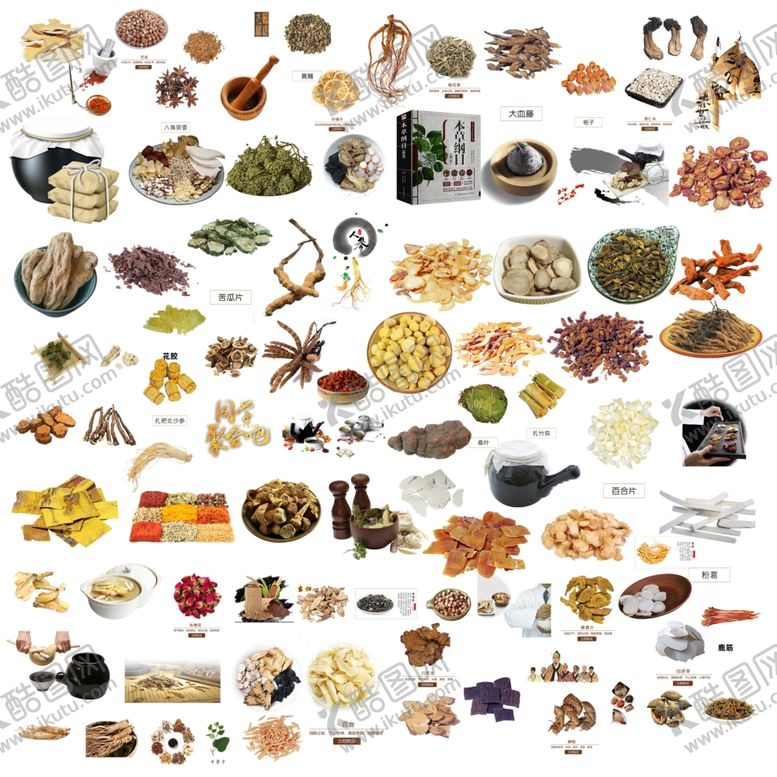 编号：75460509130831293225【酷图网】源文件下载-中医药保健食材素材