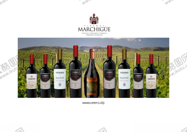 编号：44728109101648273872【酷图网】源文件下载-红酒宣传单