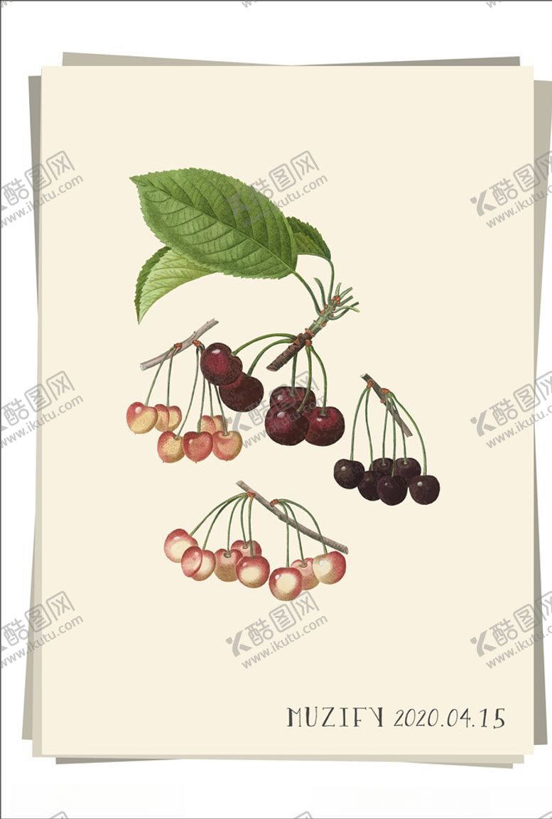 编号：83855509161122522792【酷图网】源文件下载-樱桃水果图鉴