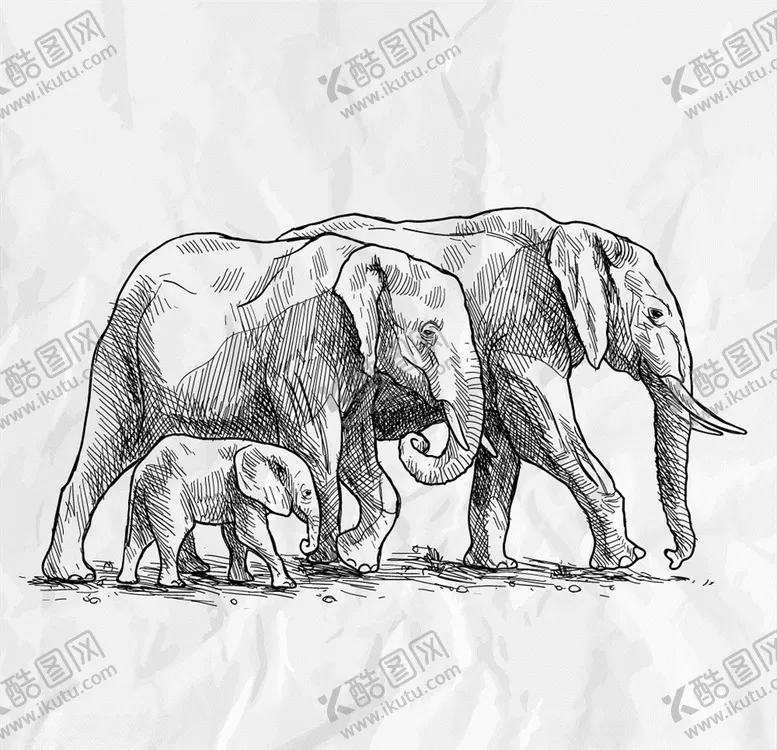 编号：87227506280320001186【酷图网】源文件下载-大象手绘矢量素材