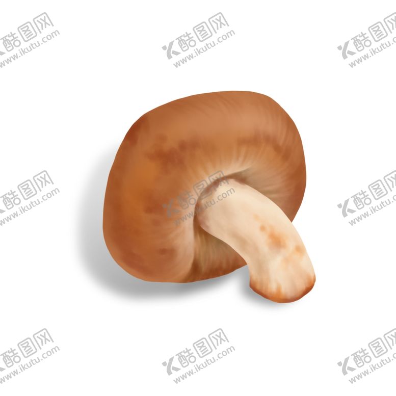 编号：18529210201618496107【酷图网】源文件下载-手绘写实香菇