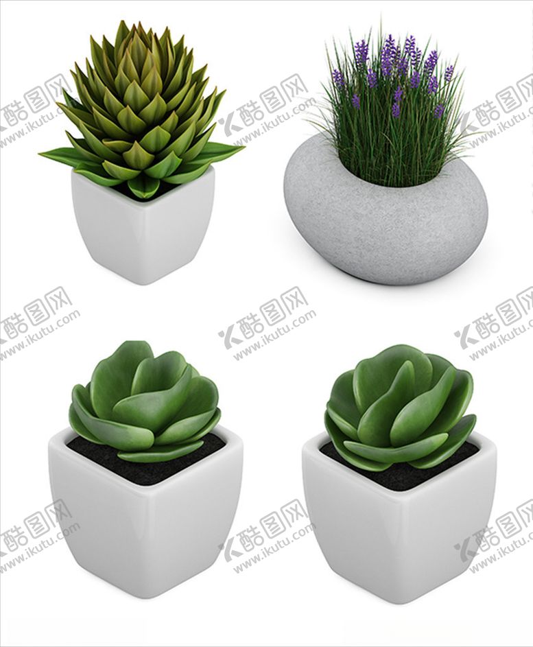 编号：63574610070257341641【酷图网】源文件下载-家居植物