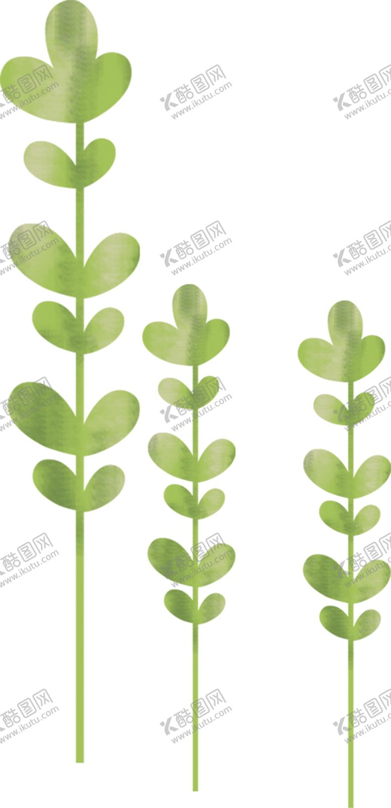 编号：75278209300721583197【酷图网】源文件下载-绿色相框