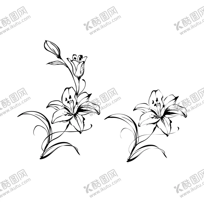 编号：63821411210531132969【酷图网】源文件下载-百合花