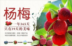 杨梅