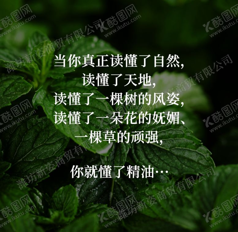 编号：32758505150310118734【酷图网】源文件下载-自然