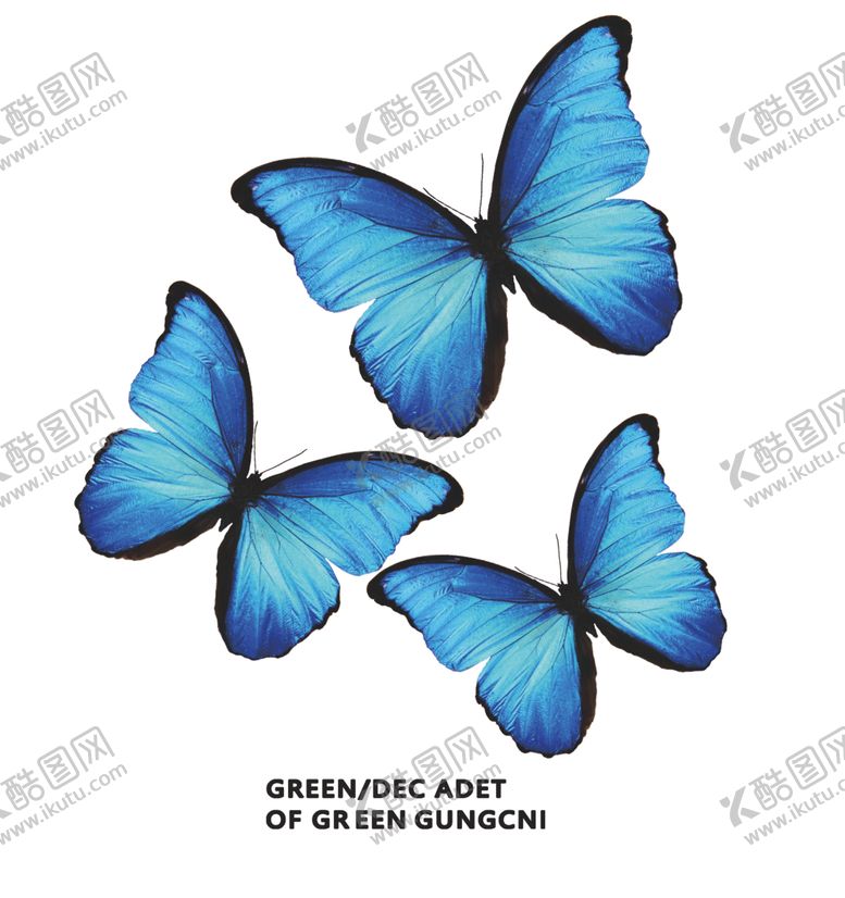 编号：24527209281950468670【酷图网】源文件下载-三只蓝蝴蝶