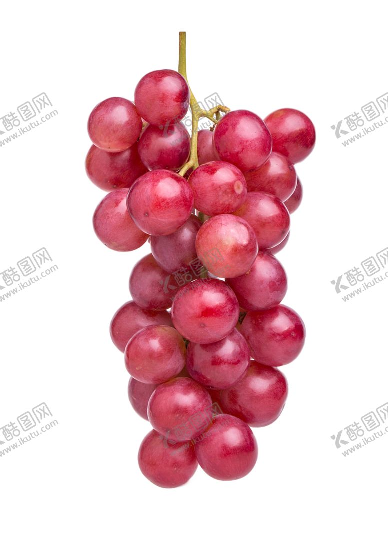 编号：78980509170749089071【酷图网】源文件下载-葡萄