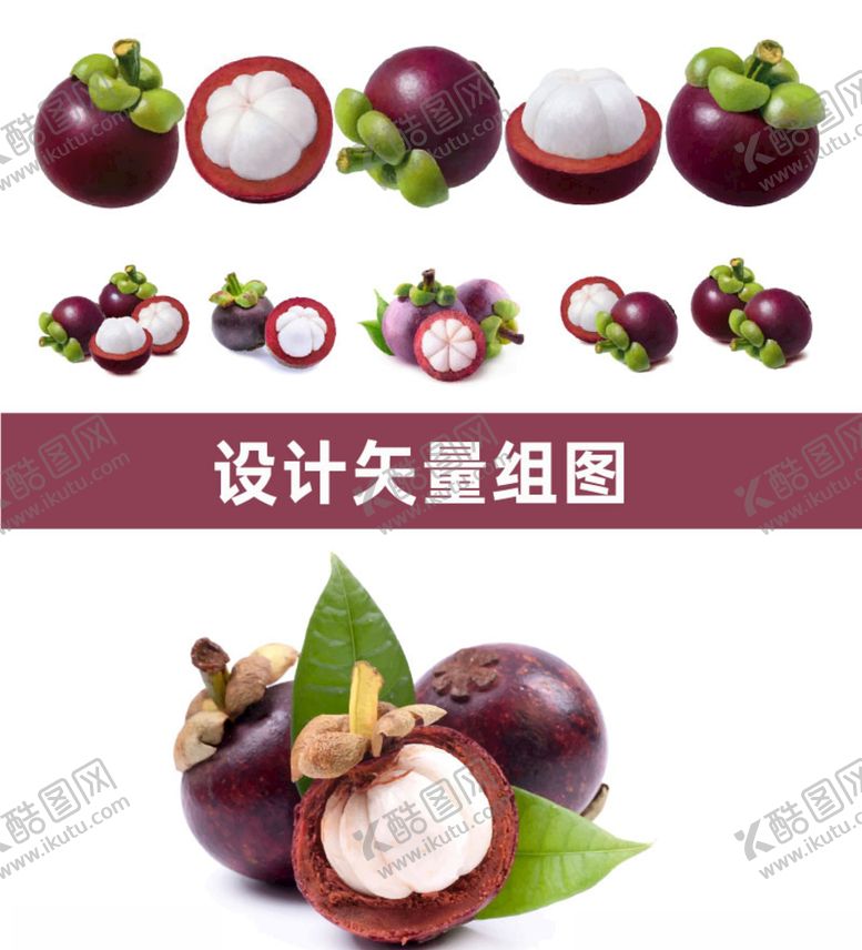 编号：70859007042053066955【酷图网】源文件下载-山竹矢量