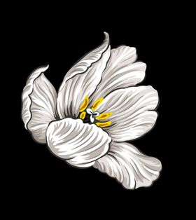 手绘花卉