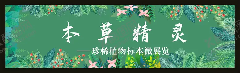 编号：34981801251200037205【酷图网】源文件下载-绿色花草叶子