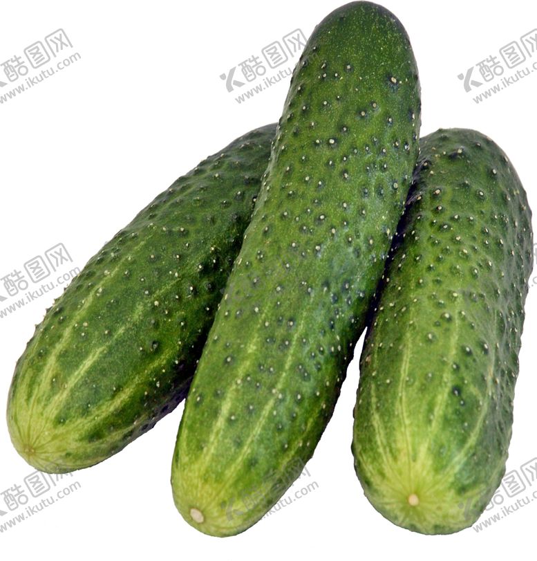 编号：28041305100301469804【酷图网】源文件下载-黄瓜