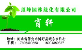 高颜值气质名片树苗