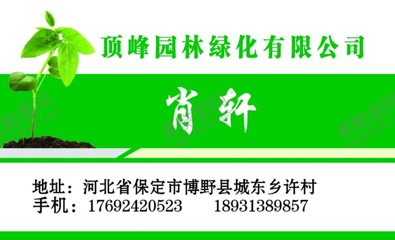 编号：21536207050142095543【酷图网】源文件下载-高颜值气质名片树苗