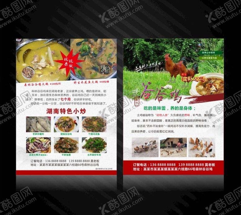 编号：36159209140144555288【酷图网】源文件下载-谷谷鸡宣传单