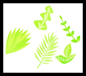手绘绿叶绿植