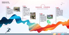 发展历程经历简介