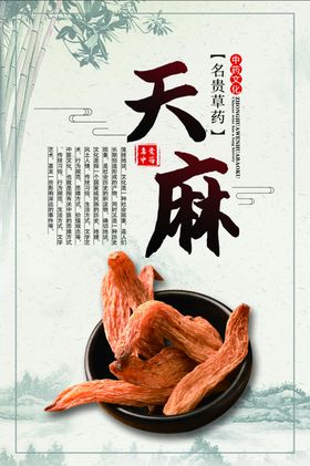 中药天麻海报