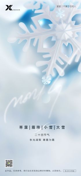 大雪大寒小寒小雪节气系列海报