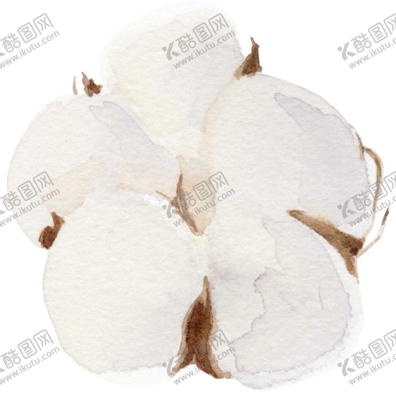 编号：88426909092237185827【酷图网】源文件下载-棉花壳