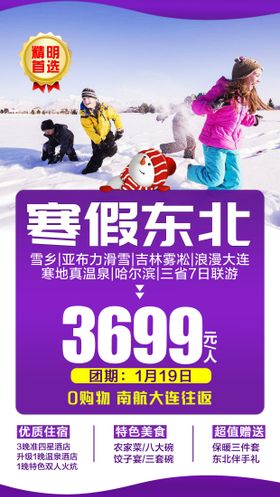 东北旅游海报冰雪壹号