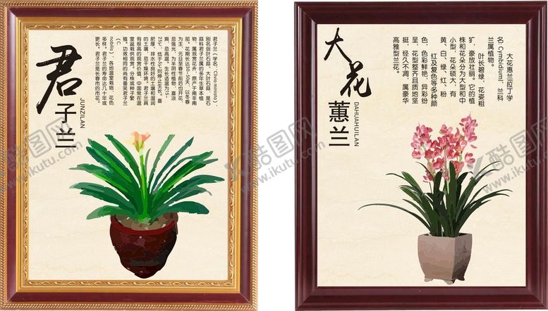 编号：11802002090207264385【酷图网】源文件下载-植物画框