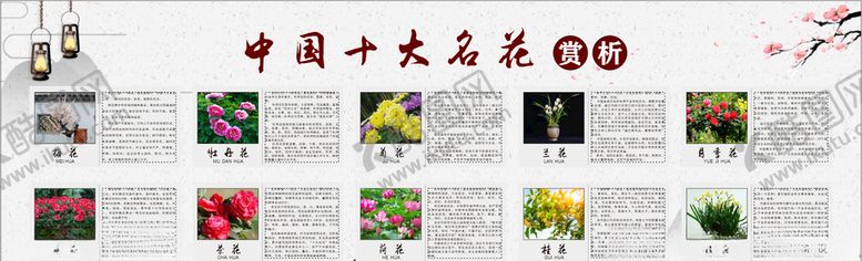 编号：10623004072125061804【酷图网】源文件下载-中国十大名花赏析