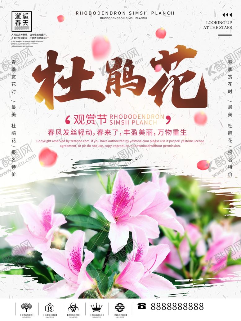 编号：43893510231754549190【酷图网】源文件下载-杜鹃花海报旅游促销你好春天