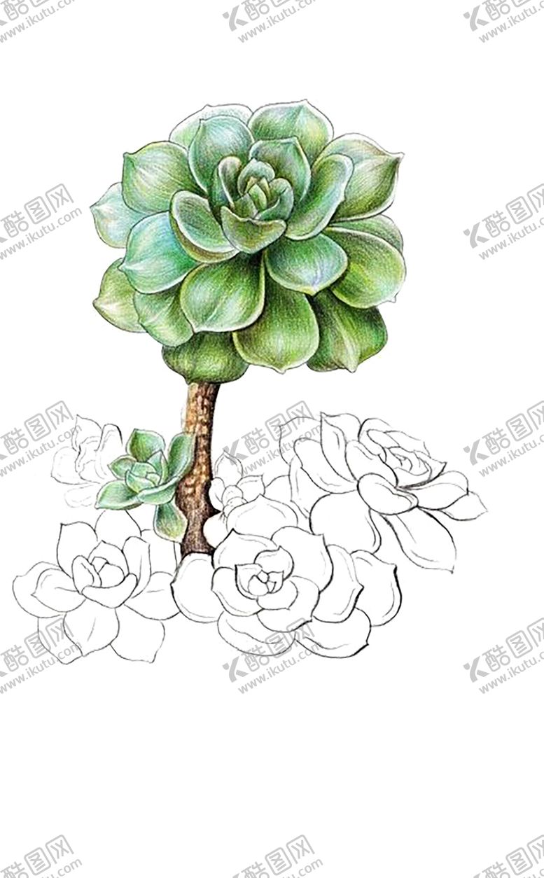 编号：59889309271727233244【酷图网】源文件下载-绿色相框