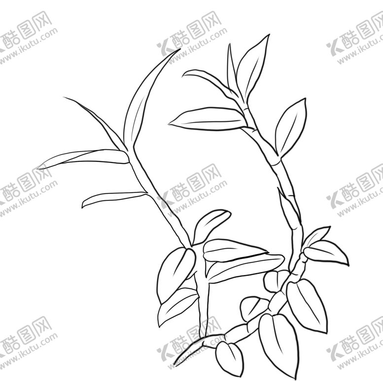 编号：60523209291149163958【酷图网】源文件下载-石斛