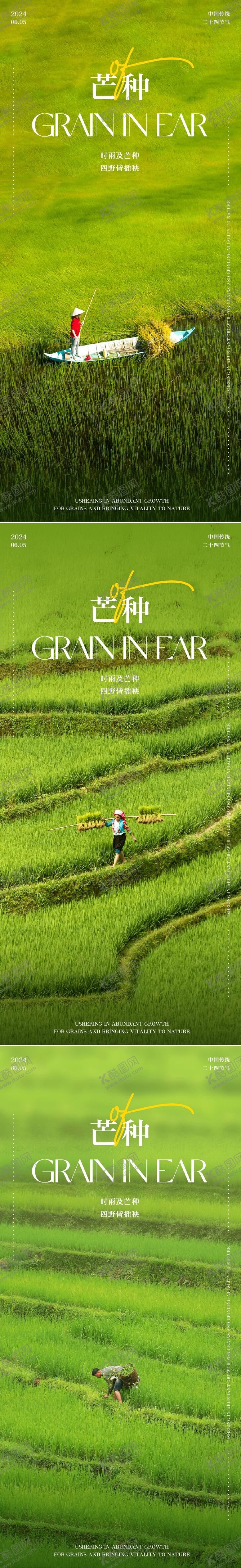 编号：79869812010324167389【酷图网】源文件下载-二十四节气芒种海报